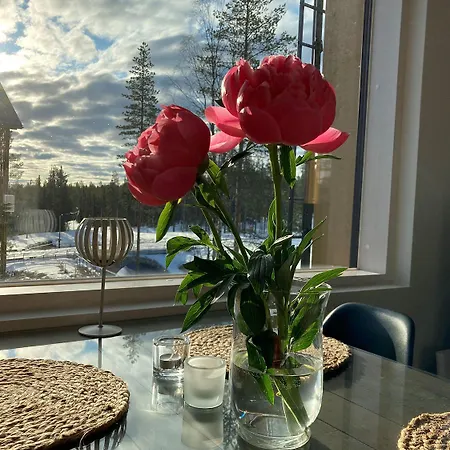 Tunturinlaita C 7 Lägenhet Levi