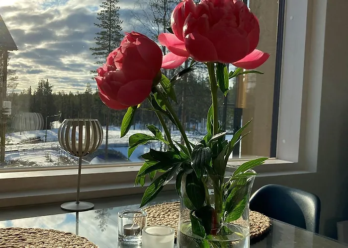 Tunturinlaita C 7 דירה לוי